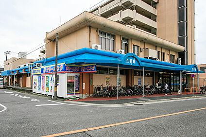 生鮮館やまひこ 如意店 約210～220m(徒歩約3分)