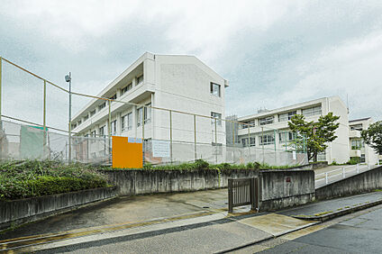 南小学校 約530～540m(徒歩約7分)