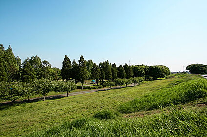 庄内緑地公園 約1500～1510m(車約3～4分)