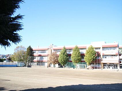 朝霞市立朝霞第一小学校 約700ｍ(徒歩9分)