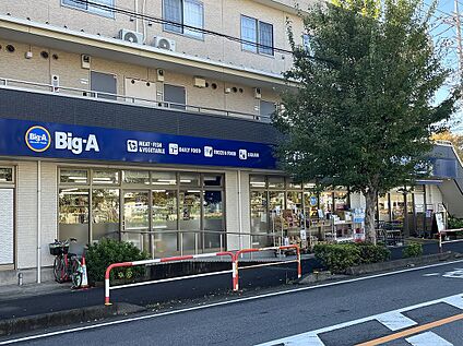 ビッグ・エー朝霞仲町店 約850～900ｍ(徒歩11～12分)