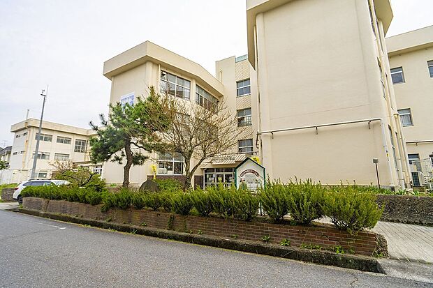 大津市立石山小学校(約350m)