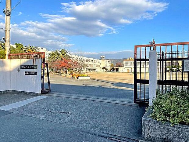 八尾市立八尾中学校(約880m)