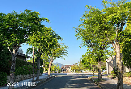 分譲地内公園 現地から50m～350m。(徒歩1分～5分。)