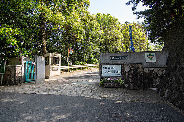 市立山口小学校
