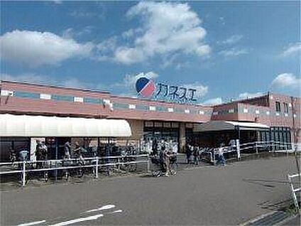 カネスエ　西春店 約490m(徒歩7分)