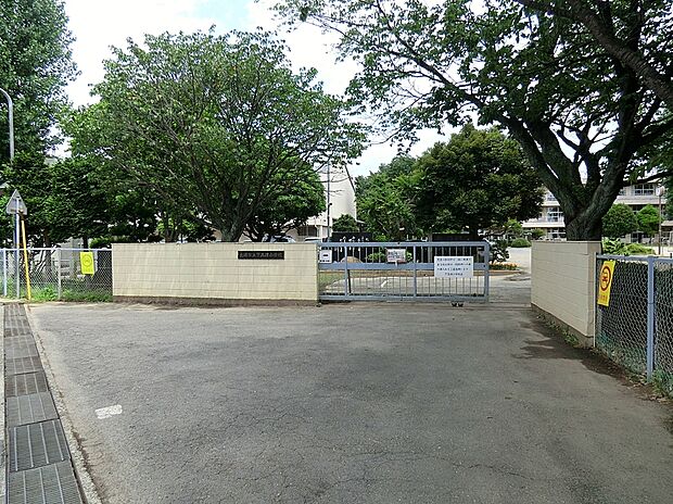 下高津小学校　115ｍ