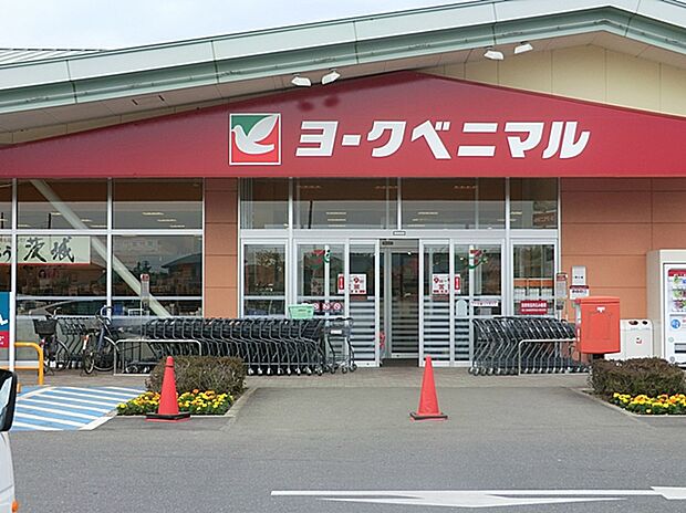 ヨークベニマル(約650m)