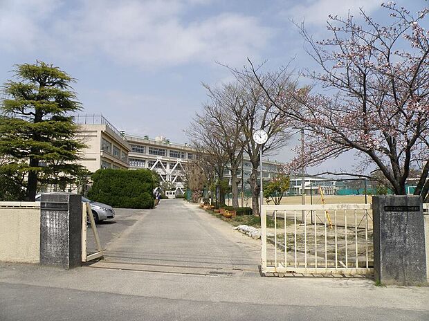 柏第三中学校(約930m)