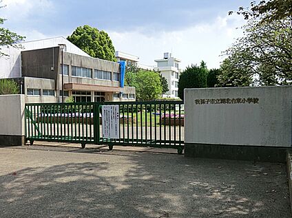 湖北台東小学校 952ｍ