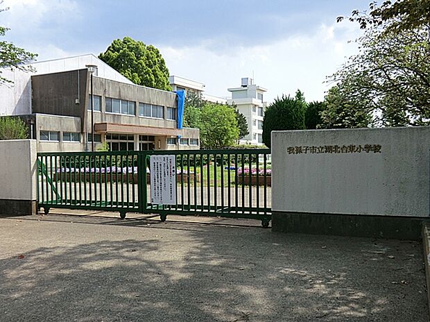 湖北台東小学校(約952m)
