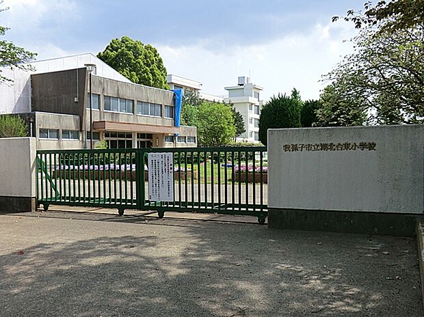 湖北台東小学校（約1,140m）