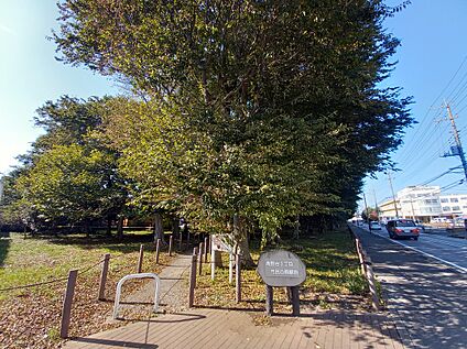 高野台3丁目市民の森 450ｍ