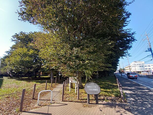 高野台3丁目市民の森（約450m）