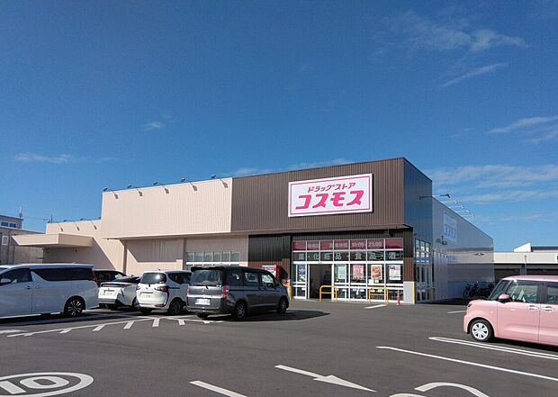 ドラッグコスモス(約608m)