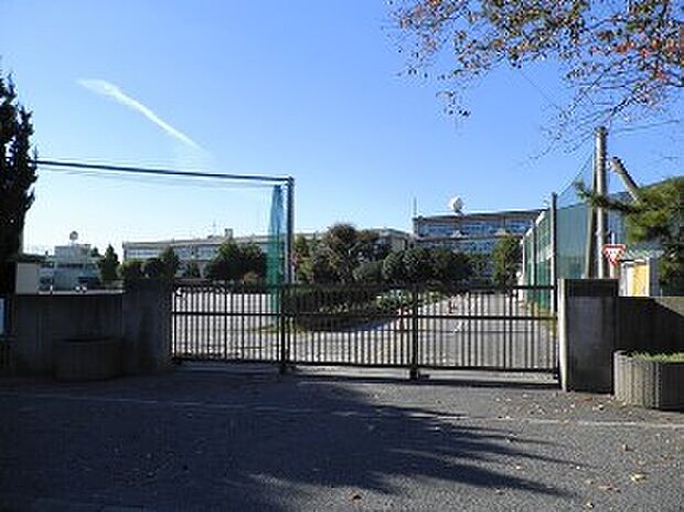 西原小学校(約500m)