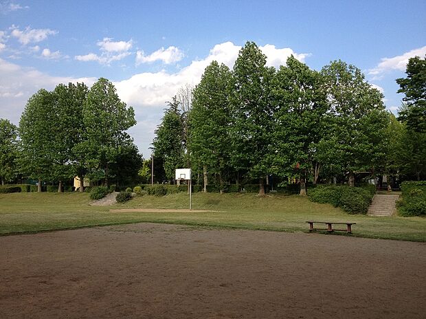 若柴公園(約50m)