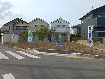 現地写真