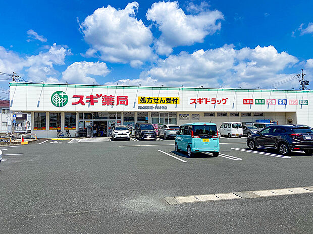 スギ薬局浜松飯田店（約550m）