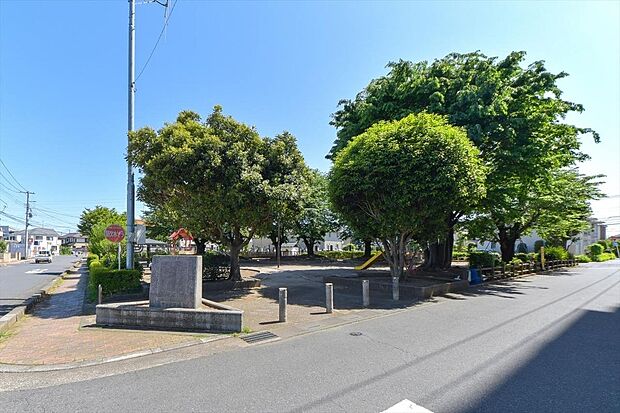 さくら公園(約700m)