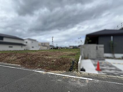 現地写真