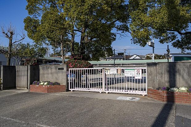 市立追分保育園