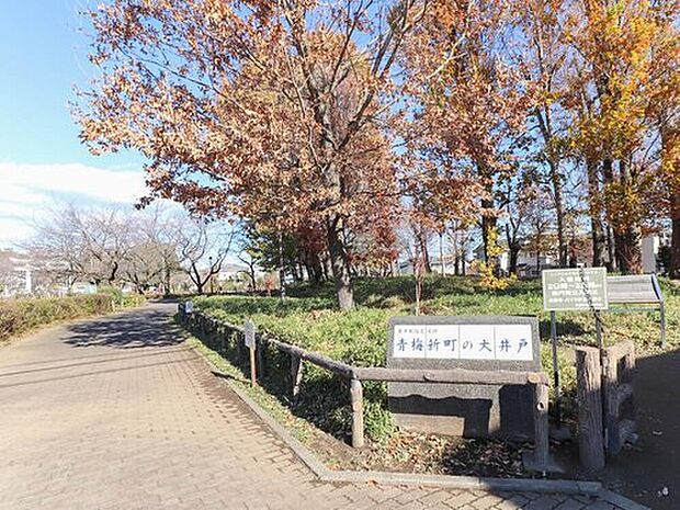 大井戸公園(約833m)