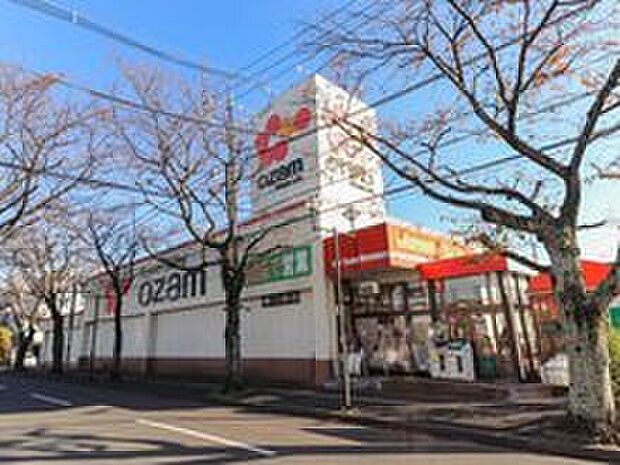 スーパーオザム秋川店(約780m)