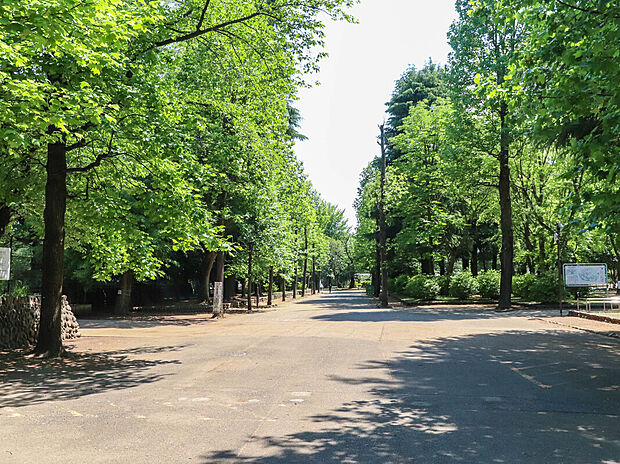 昭和公園（約483m）