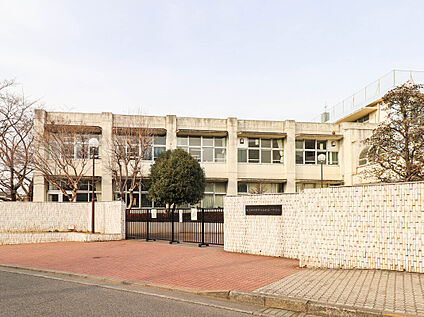 羽村市立羽村第一中学校 1161ｍ(徒歩１５分)