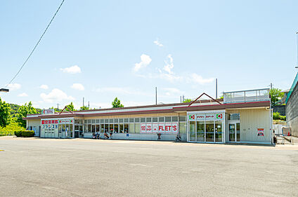 デイリーカナートはやし阪南店 現地から470m～520m。(徒歩6分～7分。)