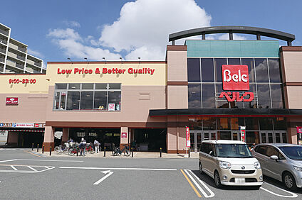 ベルク　柏しこだ店（現地より徒歩8分） 約590m