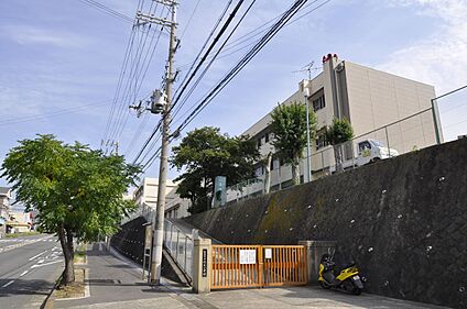 信田小学校 約230ｍ(徒歩約3分)