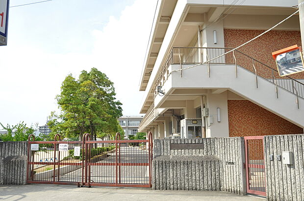 東羽衣小学校（約880m）