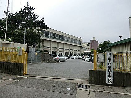 安行中学校 800m