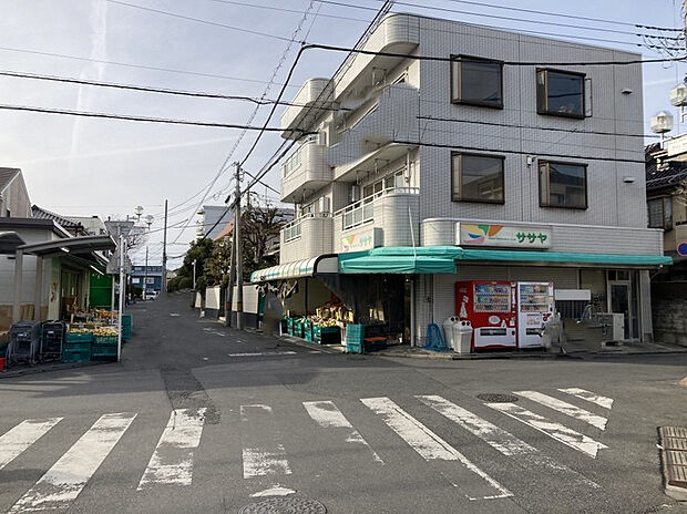 グリーンササヤ（約270m）