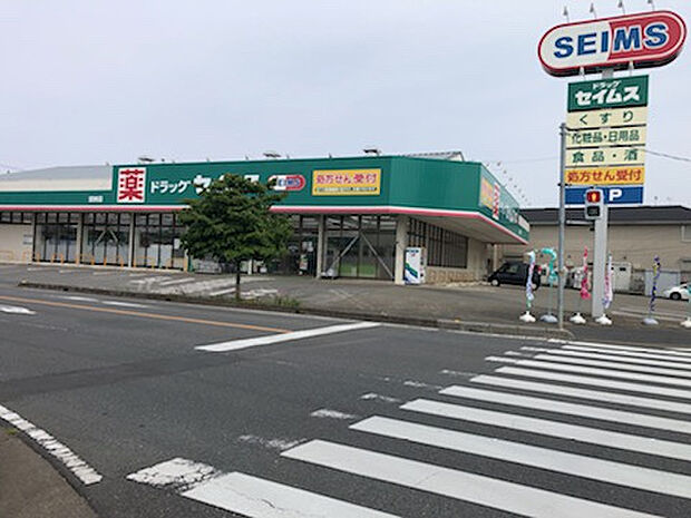 ドラッグセイムス加納店（約900m）