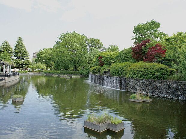 武蔵国分寺公園(約300m)