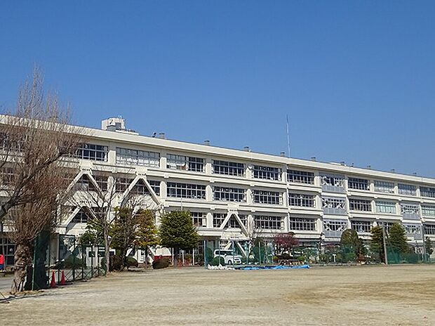 柏市立柏第三中学校（約978m）