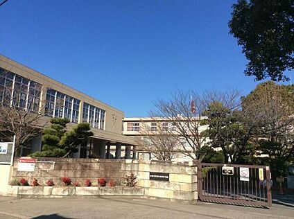 加古川市立加古川中学校 約1.5km(徒歩約19分)