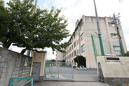 大阪市立亀井中学校 1000m(徒歩13分)