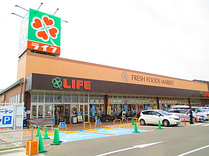 ライフ羽曳野西浦店 約796m～約810m(徒歩10分～11分)