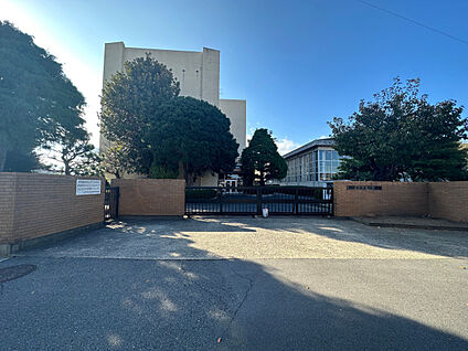 水戸市立緑岡中学校 現地から200m～270m。(徒歩3分～4分。)