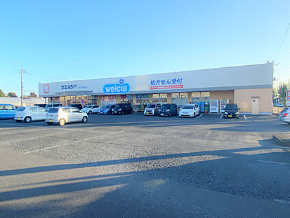 ウエルシアひたちなか佐和店 現地から260m。(徒歩4分。)