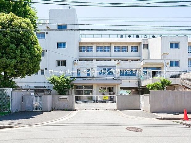 府中市立小柳小学校（約850m）