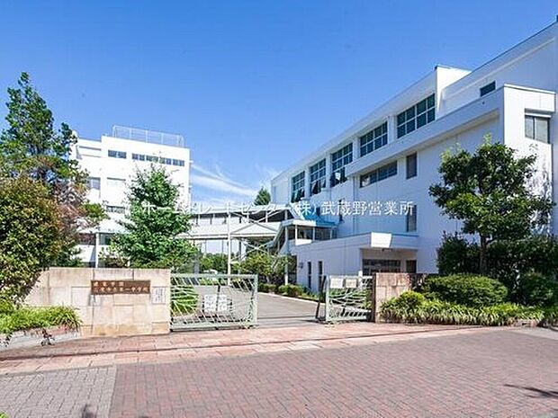 三鷹市立第一中学校(約750m)