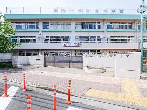 調布市立柏野小学校（約300m）