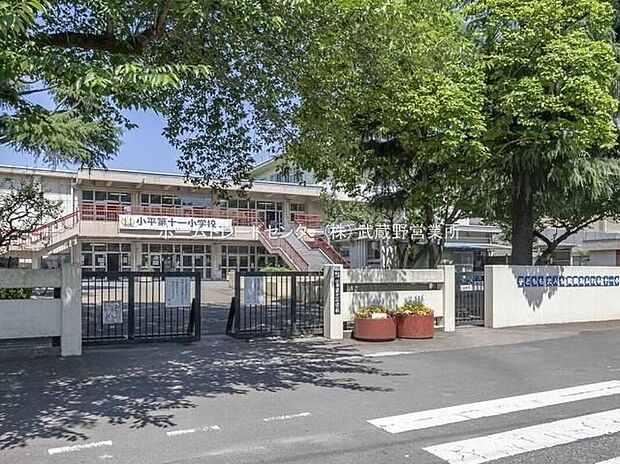 小平市立小平第十一小学校（約800m）