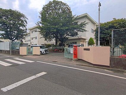 小平市立小平第三中学校 1000m(徒歩13分)
