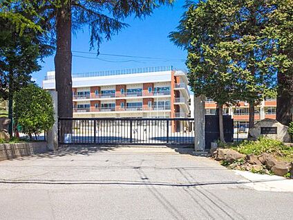 流山市立八木北小学校 1500m(徒歩19分)